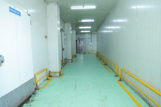 Cold Storage Renting Services