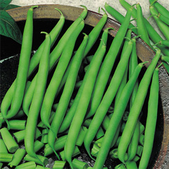 French Beans